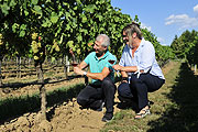 Susi Erdmann ließ sich von Winzer Peter Heidecker die Weinberge zeigen (©Foto: Pedro da Silva)